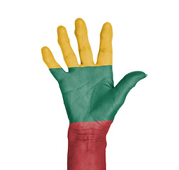 Image showing Palm of a woman hand, painted with flag