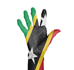 Image showing Palm of a woman hand, painted with flag