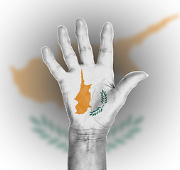 Image showing Palm of a woman hand, painted with flag