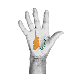 Image showing Palm of a woman hand, painted with flag