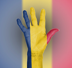 Image showing Palm of a woman hand, painted with flag