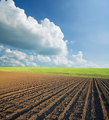 Image showing ploughed field