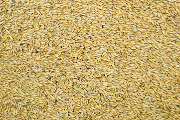 Image showing grain as good natural background