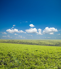Image showing green field under deep blue sky with clouds