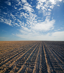 Image showing black ploughed field under blue cloudy sky