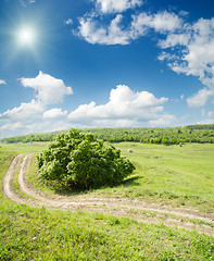 Image showing winding road to horizon