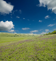 Image showing green meadow under cloudy sky