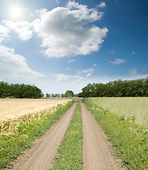 Image showing dirty road between fields