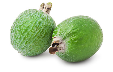 Image showing Feijoa fruit