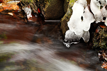 Image showing River detail