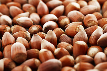 Image showing Tasty hazelnuts, close up