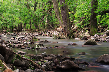 Image showing River