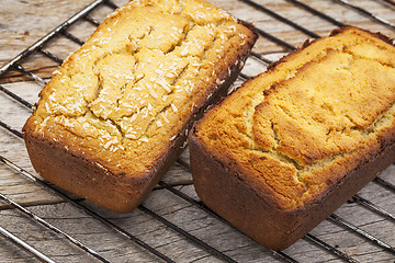 Image showing freshly baked coconut bread