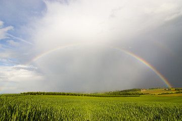 Image showing Perfect rainbow