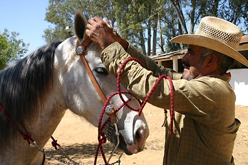 Image showing Charro with horse