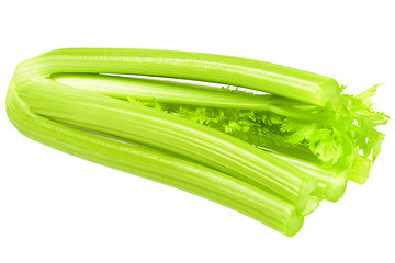 Image showing Fresh ripe celery