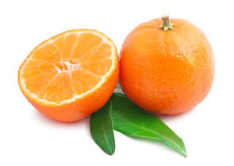 Image showing Tangerines