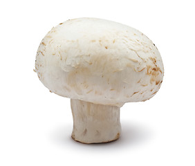 Image showing Champignon mushroom