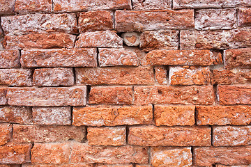 Image showing Brick wall