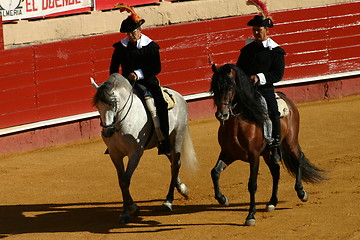 Image showing Horses and riders in Spain