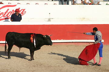 Image showing Young bullfighter