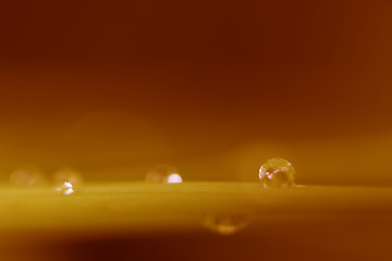 Image showing Raindrops