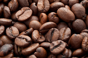 Image showing Coffee beans