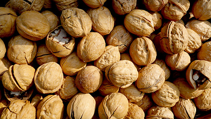 Image showing Many Walnuts in shells