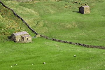 Image showing Sheep farm