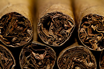 Image showing Cigars