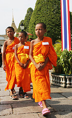 Image showing Young monks