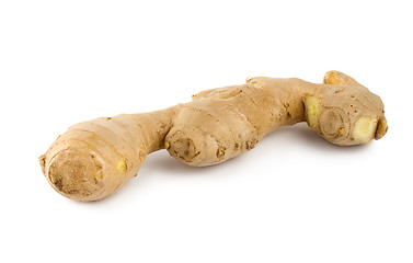 Image showing Ginger root isolated