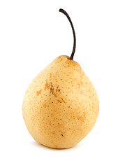 Image showing Pear