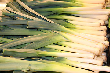 Image showing Leek