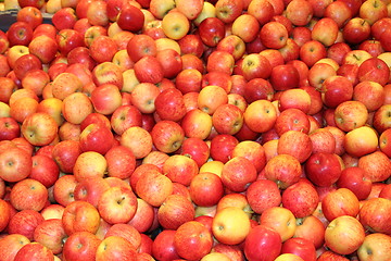 Image showing Apples