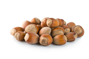 Image showing Hazelnut