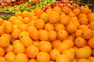 Image showing Oranges