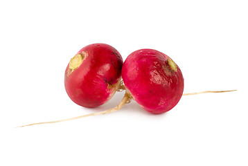 Image showing Fresh radishes 