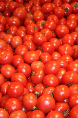 Image showing Tomatoes