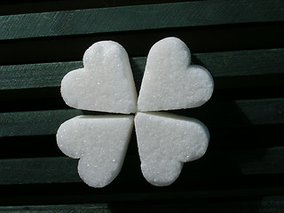 Image showing Sugar Clover