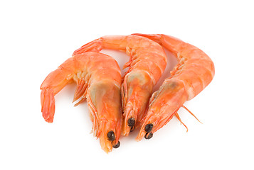 Image showing Shrimp