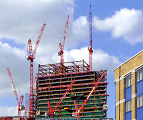 Image showing Construction cranes