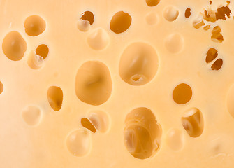 Image showing Cheese and holes