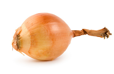 Image showing Onion isolated