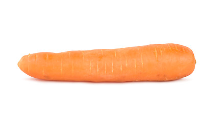 Image showing Ripe carrot