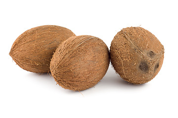 Image showing Three coconut