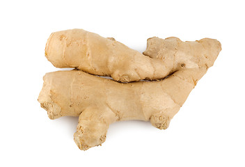 Image showing Ginger root isolated on a white