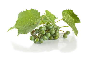 Image showing Grape