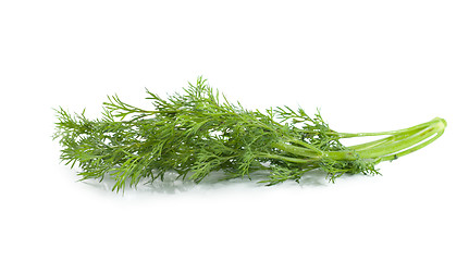 Image showing A branch of dill