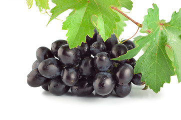 Image showing Fresh blue grape isolated